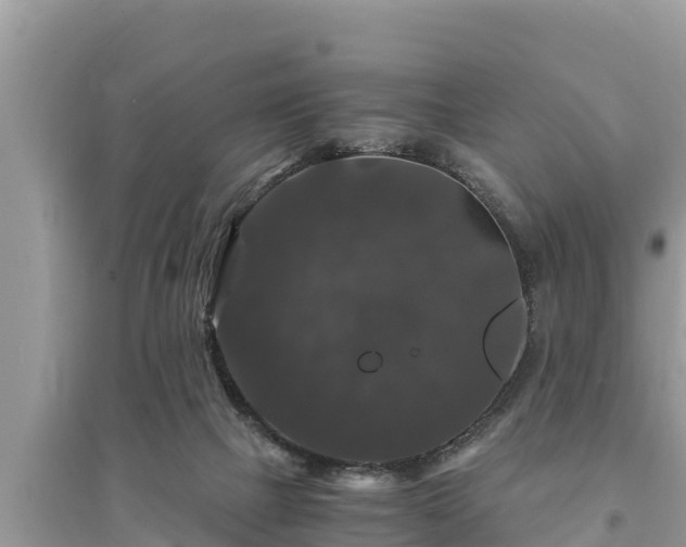 X0000095540073200712211357