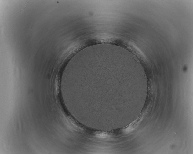 X0000095540074200712211357