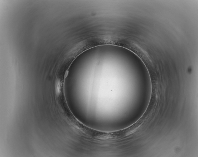 X0000095540075200712211357