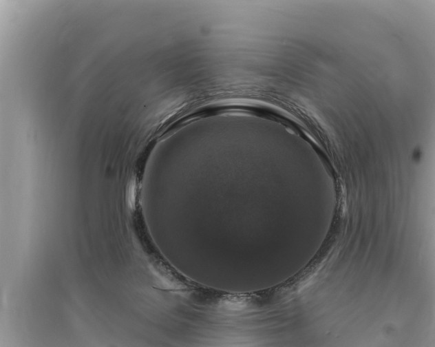 X0000095540076200712211357