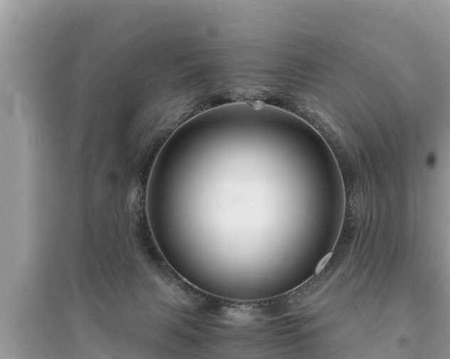 X0000095540079200712211357