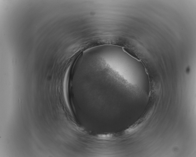 X0000095540080200712211357