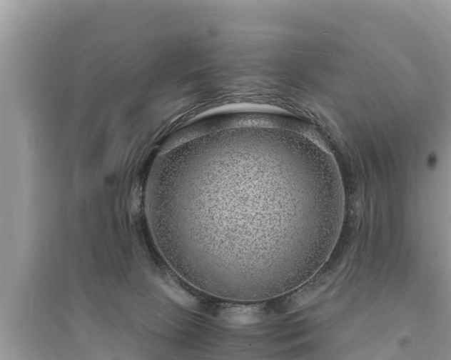 X0000095540081200712211357