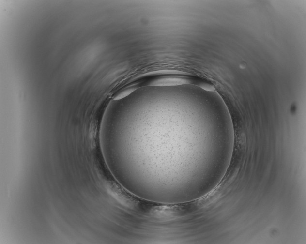 X0000095540082200712211357