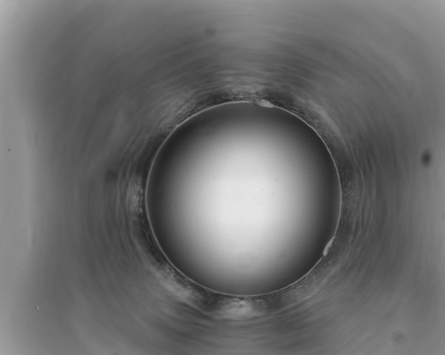 X0000095540083200712211357