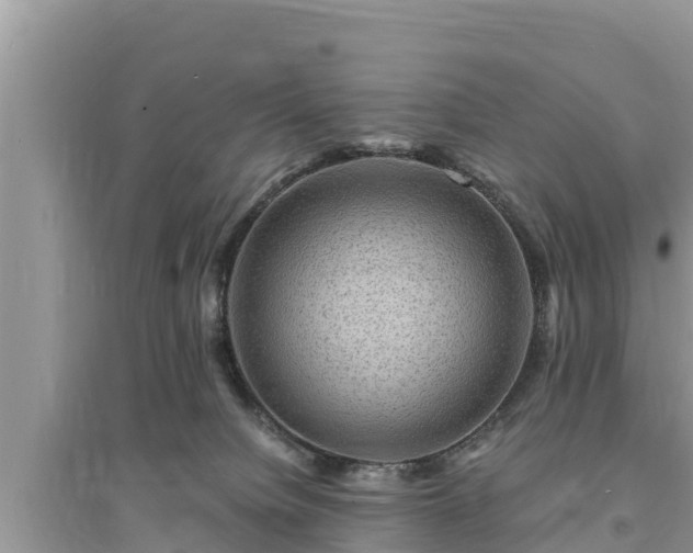 X0000095540084200712211357