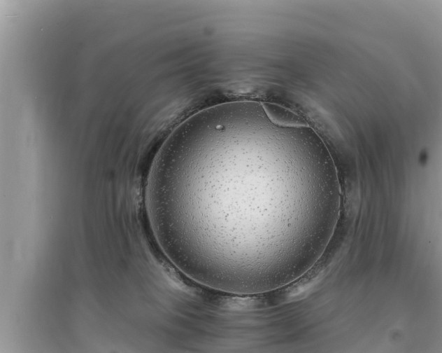 X0000095540085200712211357