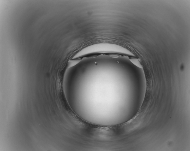 X0000095540086200712211357