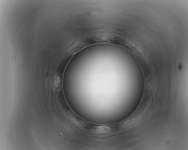 X0000095540087200712211357