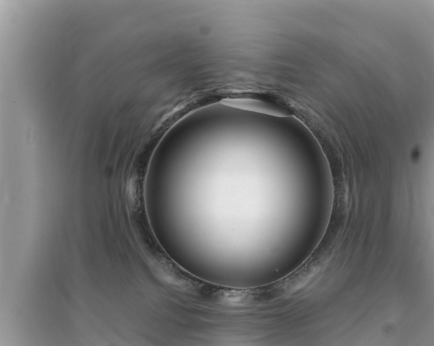 X0000095540088200712211357