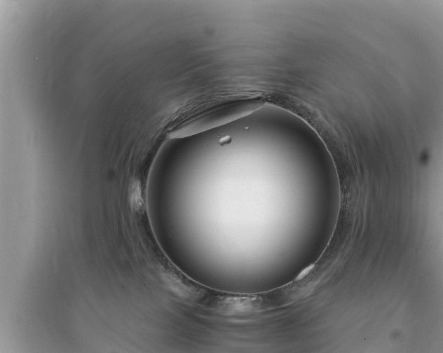 X0000095540089200712211357