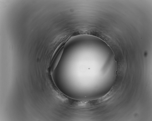 X0000095540090200712211357