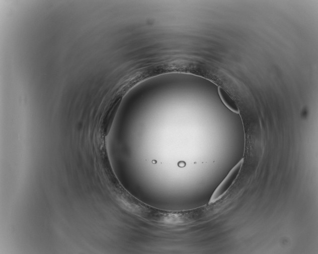 X0000095540091200712211357