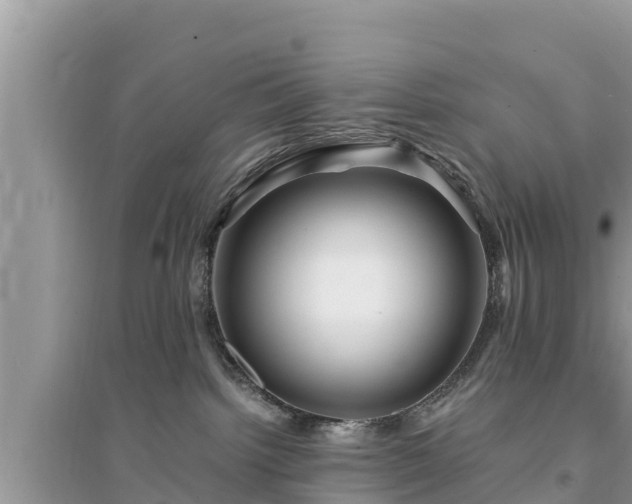 X0000095540092200712211357