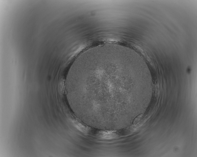 X0000095540093200712211357