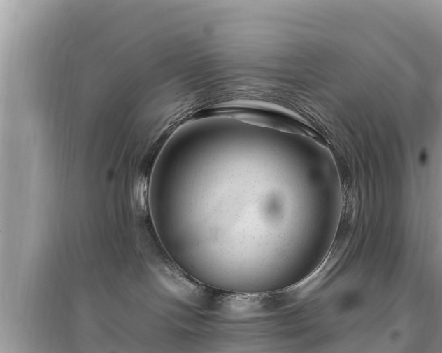 X0000095540094200712211357