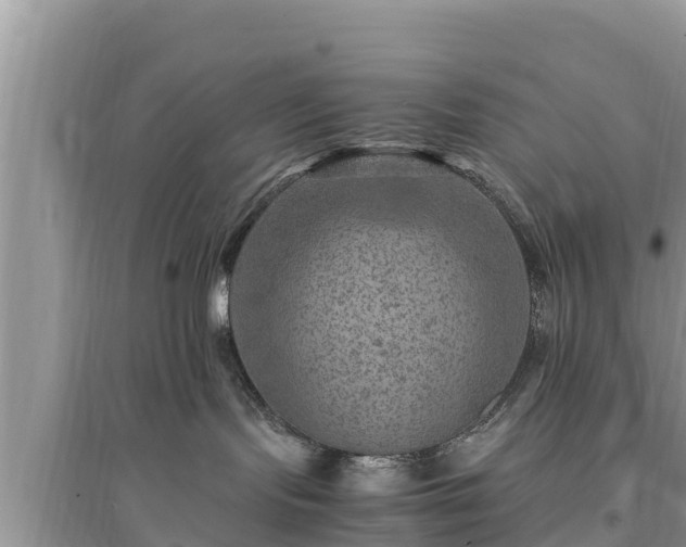 X0000095540095200712211357