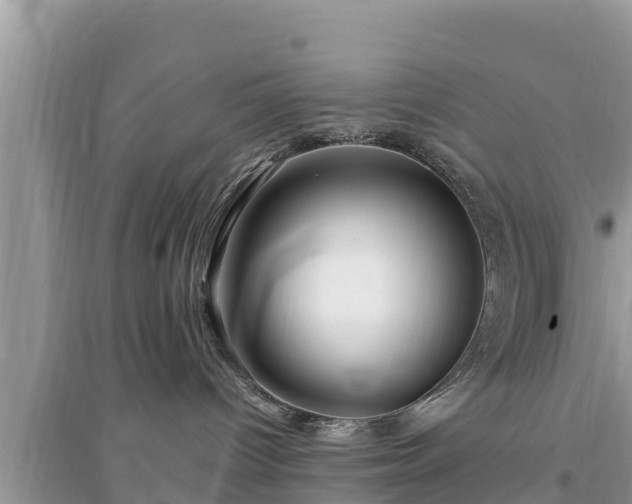 X0000095540096200712211357