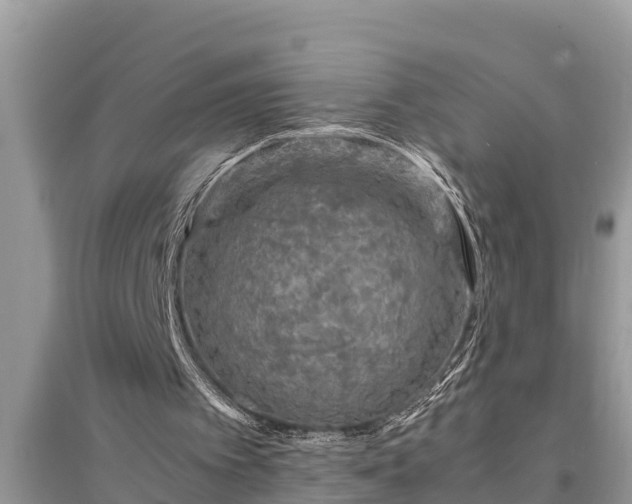 X0000095540097200712211356