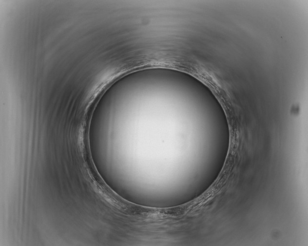 X0000095540098200712211356