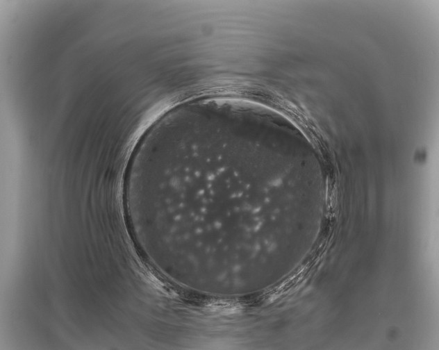 X0000095540099200712211356