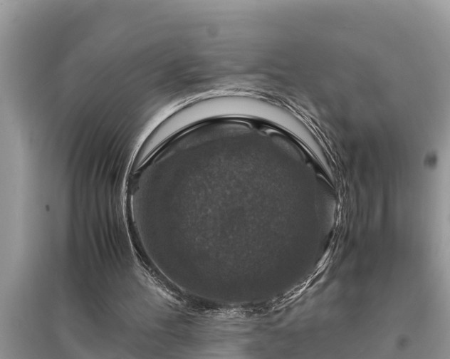 X0000095540100200712211356