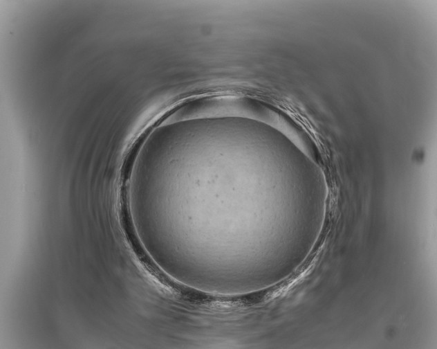 X0000095540101200712211356