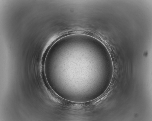 X0000095540102200712211356