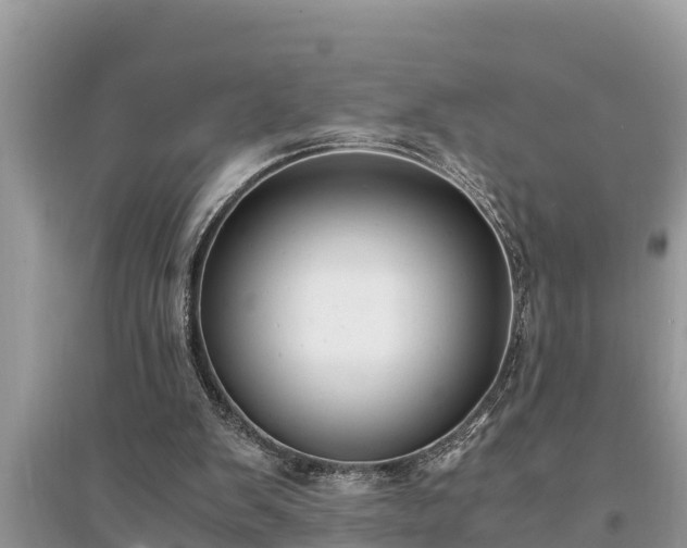 X0000095540103200712211356