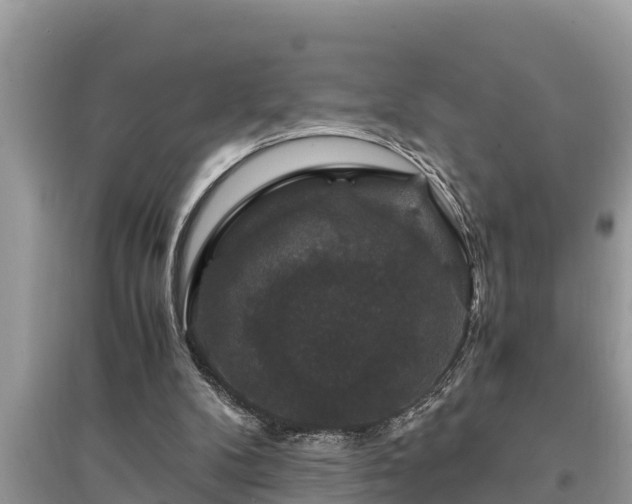 X0000095540104200712211356