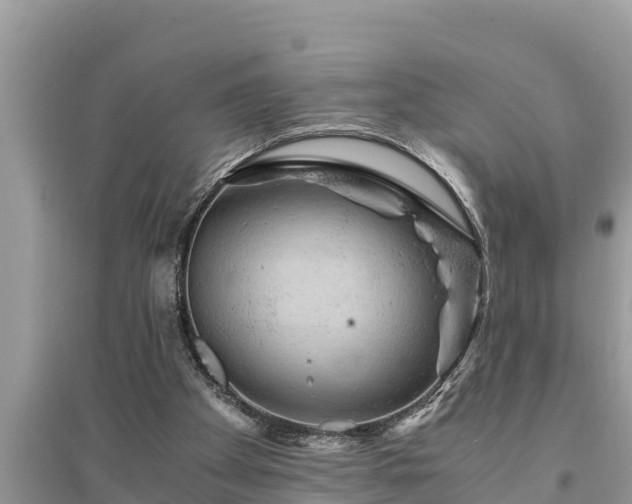 X0000095540105200712211356