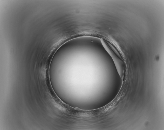 X0000095540106200712211356