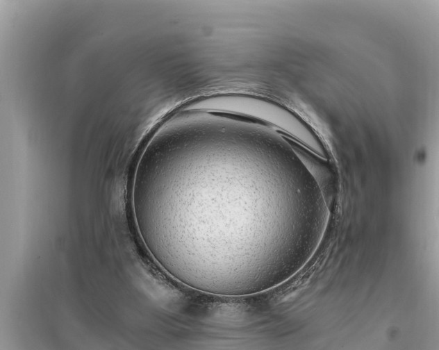 X0000095540107200712211356