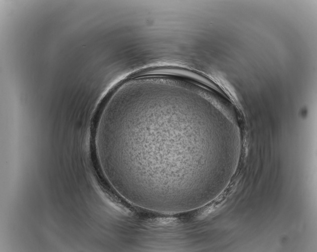 X0000095540108200712211356