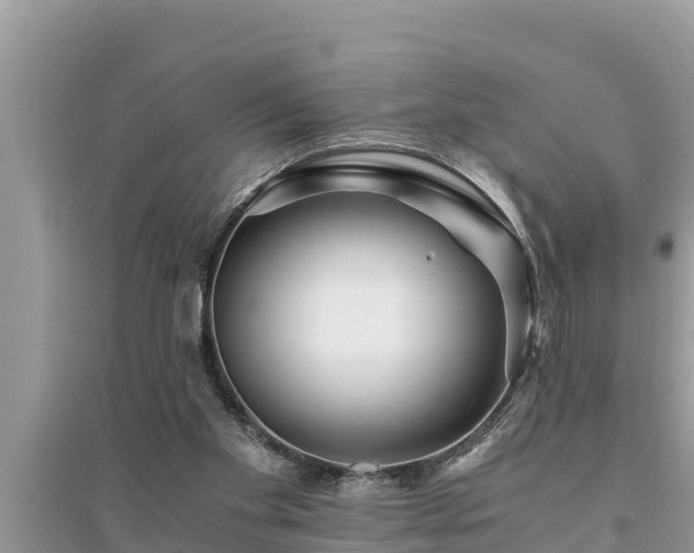 X0000095540109200712211356