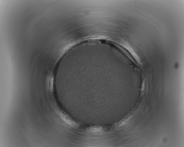 X0000095540110200712211356