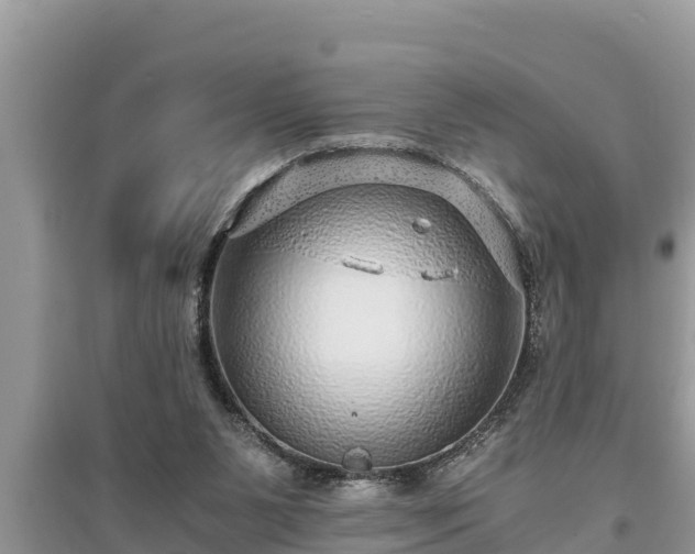 X0000095540111200712211356