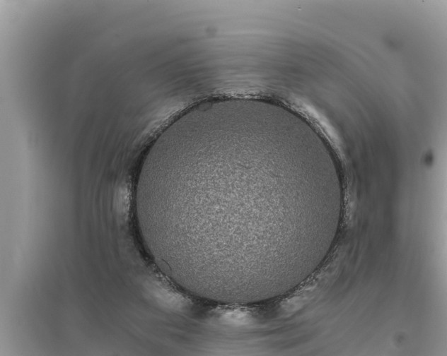 X0000095540113200712211356