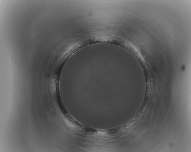 X0000095540114200712211356