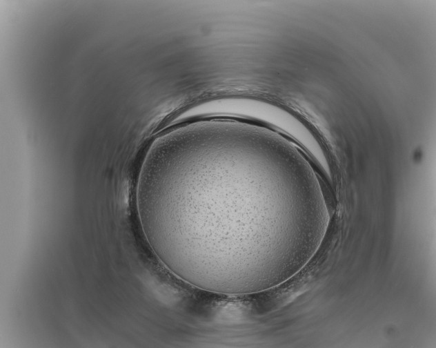 X0000095540115200712211356