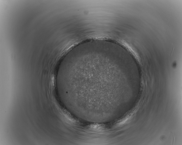 X0000095540117200712211356