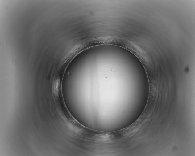 X0000095540118200712211356