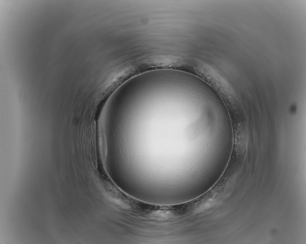 X0000095540119200712211356