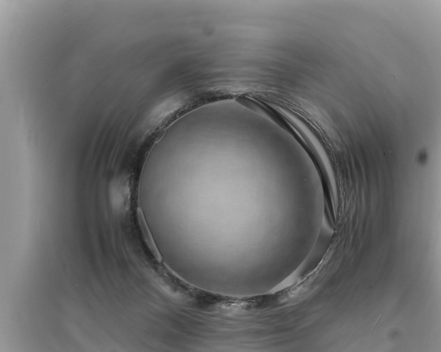 X0000095540120200712211356