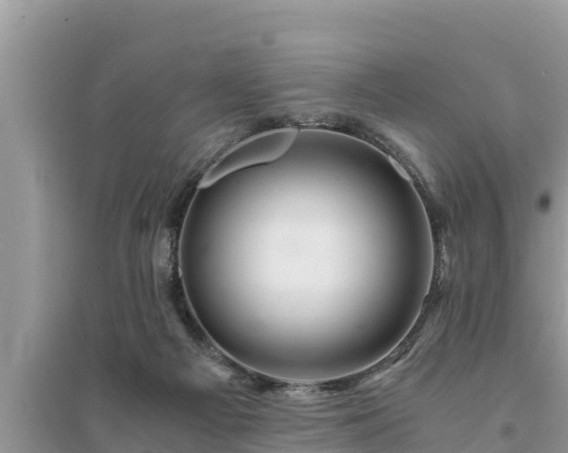 X0000095540121200712211356