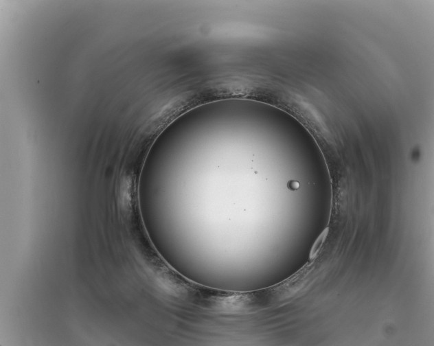 X0000095540122200712211356