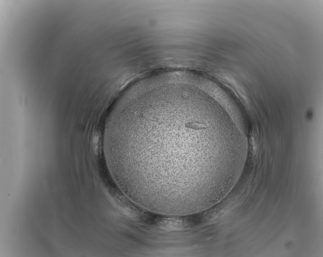 X0000095540123200712211356