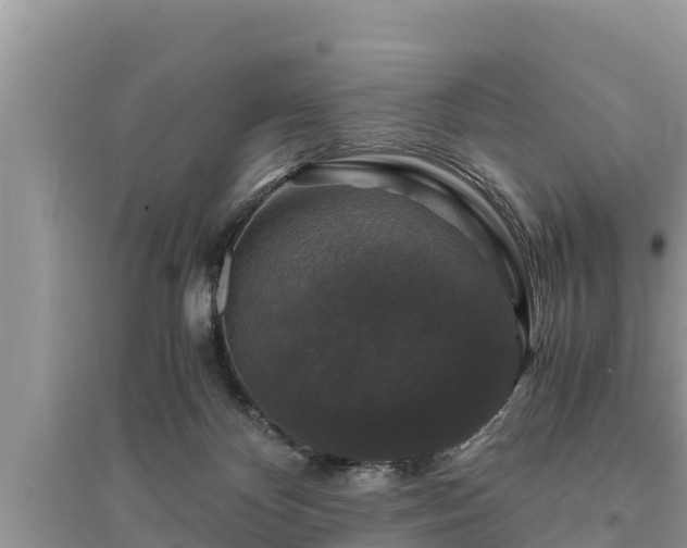 X0000095540124200712211356