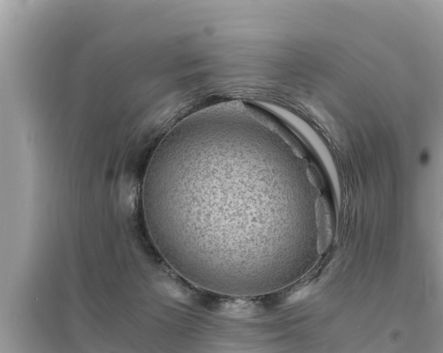 X0000095540125200712211356