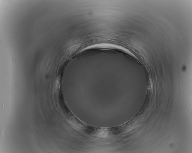 X0000095540127200712211356